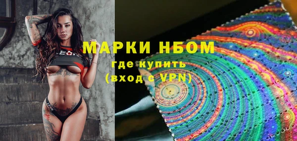 метадон Алексин