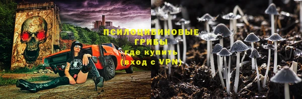 экстази Арсеньев