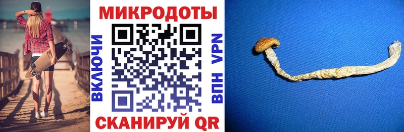 Галлюциногенные грибы Psilocybine cubensis  наркошоп  Лабинск 